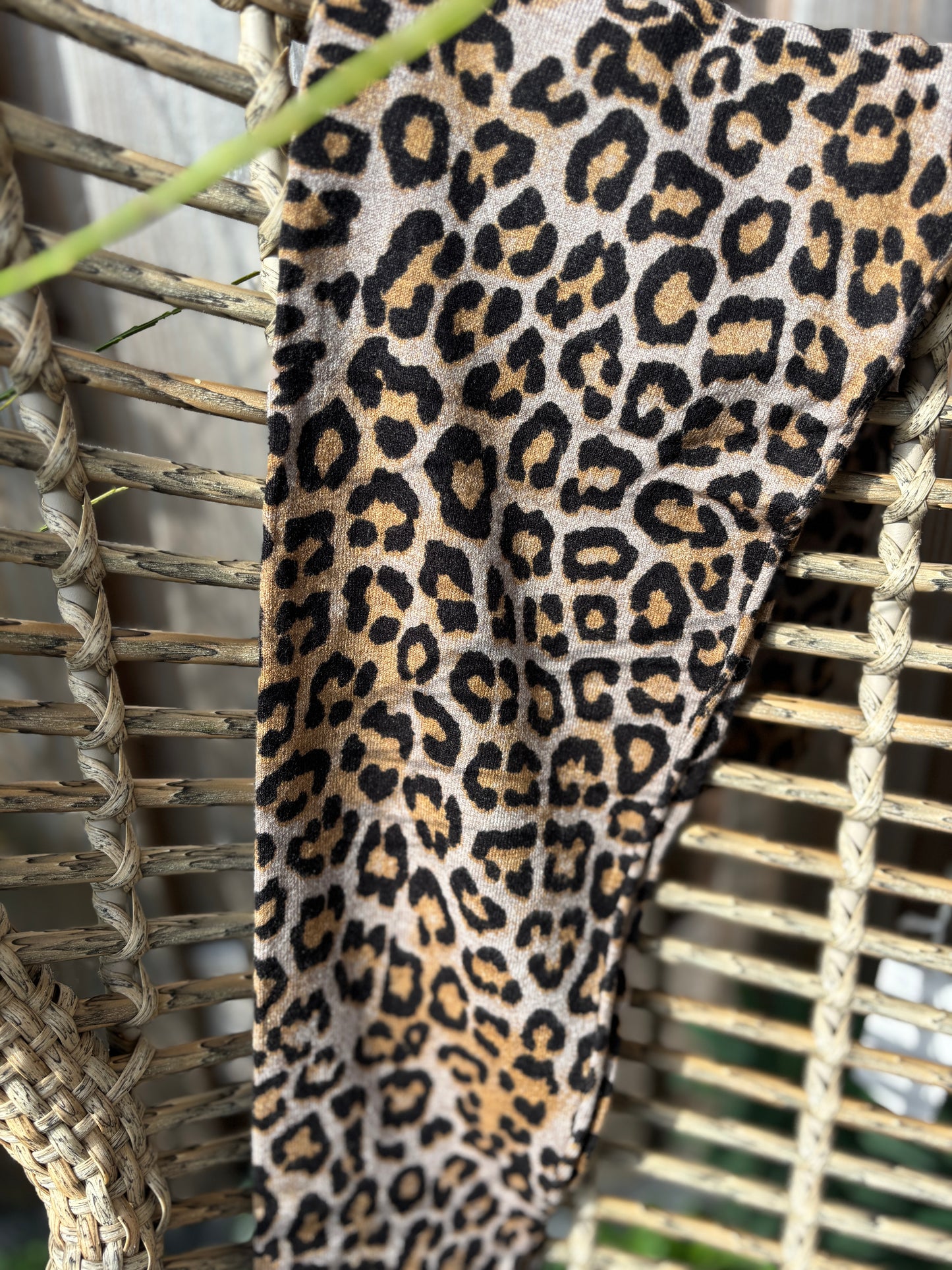 Panterlegging